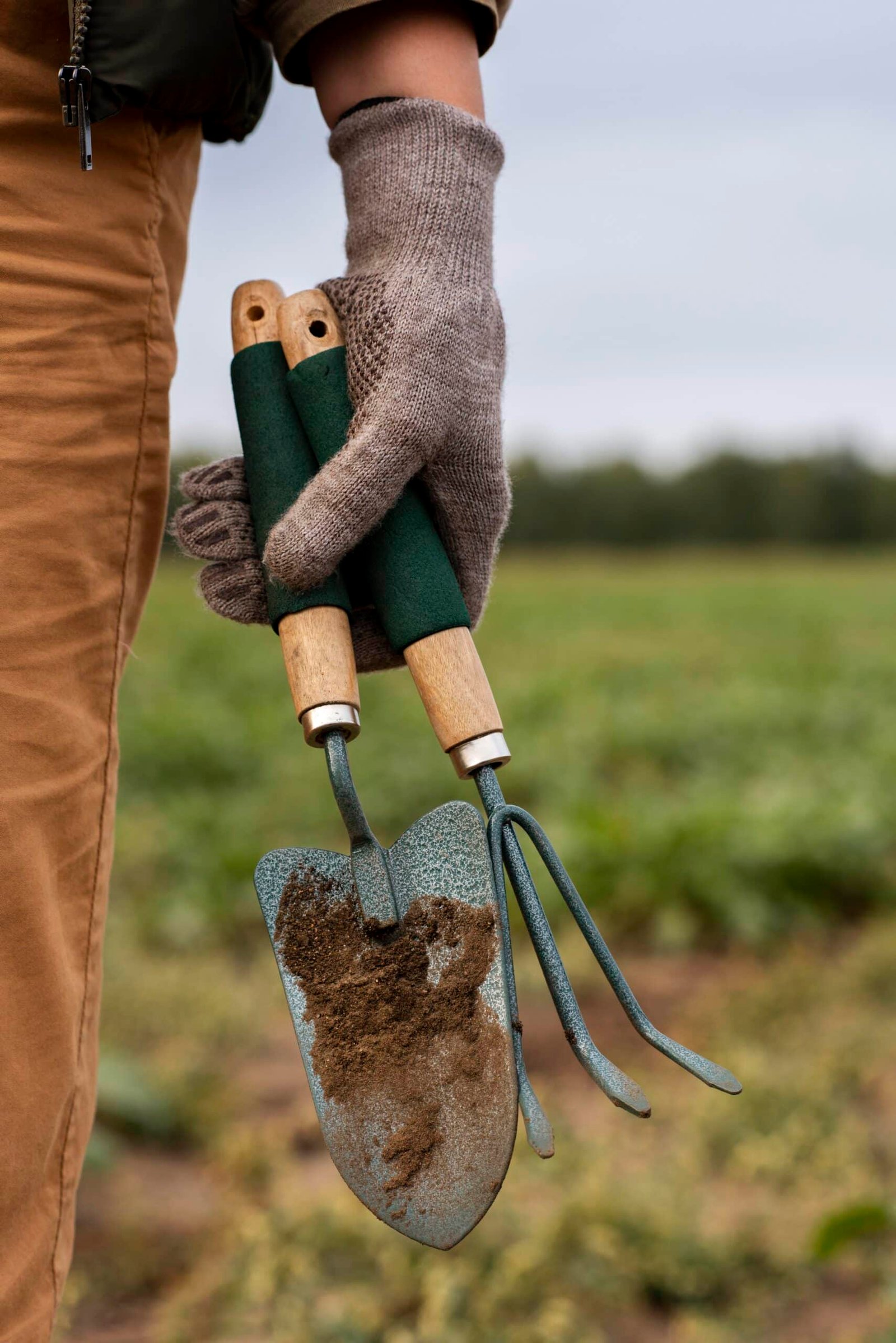 Creación de Empleos y Sostenibilidad en la Agroindustria